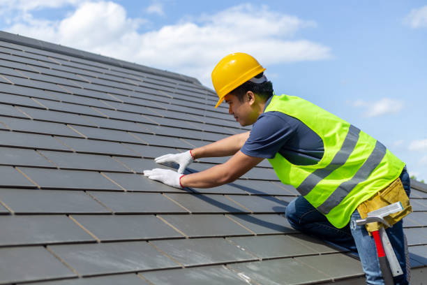 Best Solar Panel Roofing Installation  in Lovell, WY